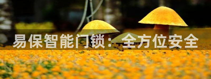 利记的官网：易保智能门锁：全方位安全