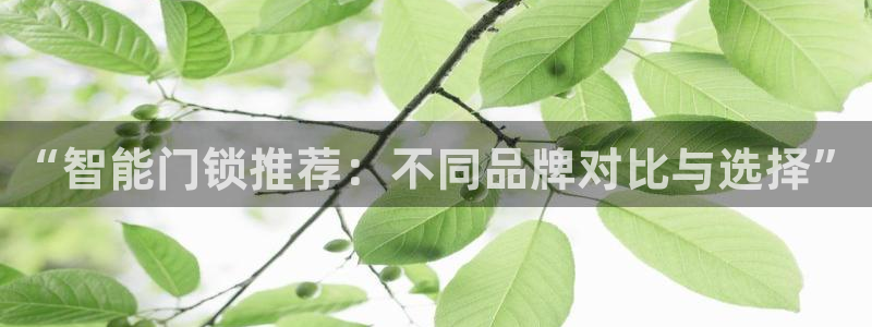 利记信誉官网：“智能门锁推荐：不同品牌对比与选择”