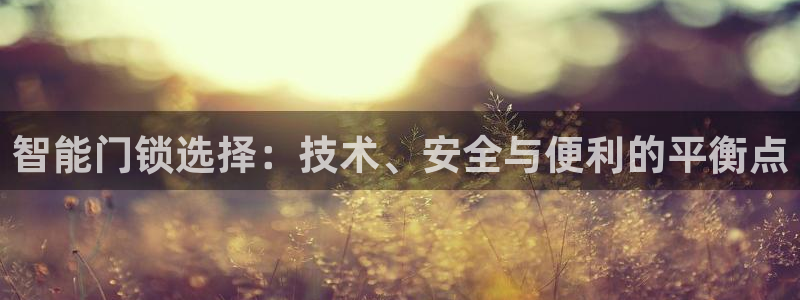 利记app官网：智能门锁选择：技术、安全与便利的平衡点