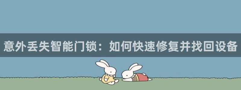 利记体育官网首页：意外丢失智能门锁：如何快速修复并找回设备