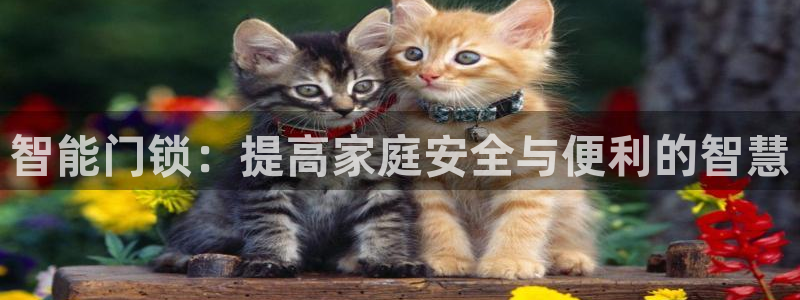 利记坊官网注册账号申请：智能门锁：提高家庭安全与便利的智慧