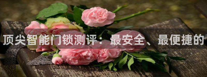 利记坊平台唯一官网：顶尖智能门锁测评：最安全、最便捷的