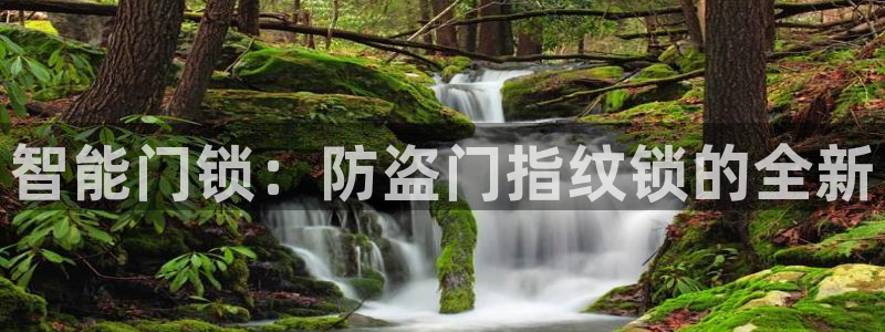 利记sbobet官网：智能门锁：防盗门指纹锁的全新