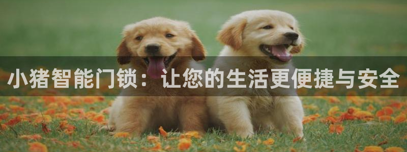 香港利记集团官网地址：小猪智能门锁：让您的生活更便捷与安全