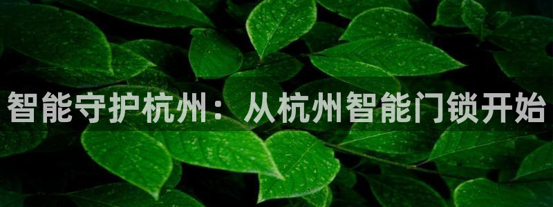 利记彩票官网网址官网hd71：智能守护杭州：从杭州智能门锁开