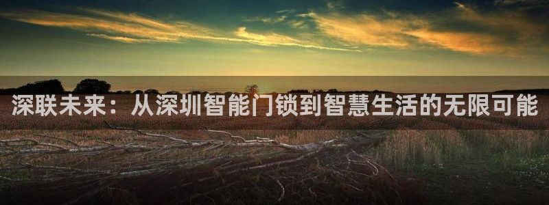 大利来记官网：深联未来：从深圳智能门锁到智慧生活的无限可能