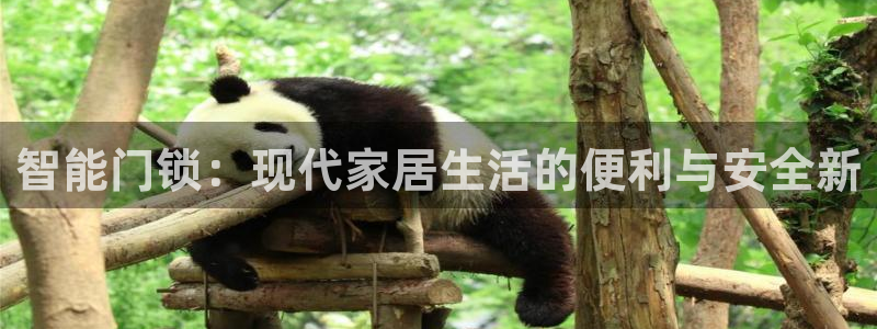利记官网香菜1：智能门锁：现代家居生活的便利与安全新