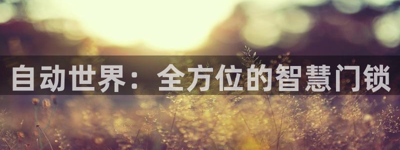 利记手机官网：自动世界：全方位的智慧门锁