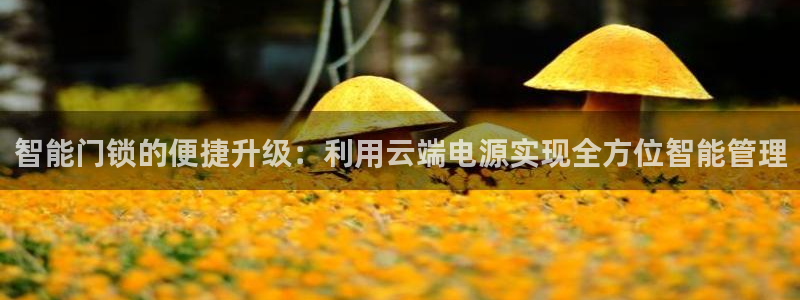 利记坊官网注册账号申请：智能门锁的便捷升级：利用云端电源实现