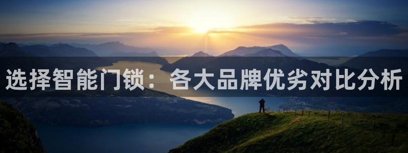 利记体育官网首页：选择智能门锁：各大品牌优劣对比分析