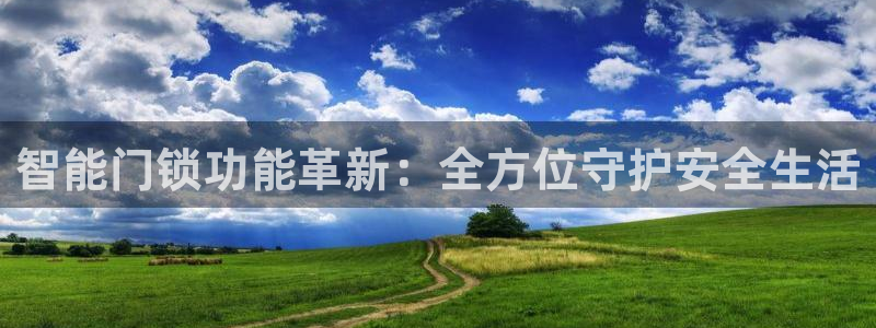 利记bet官网登录入口：智能门锁功能革新：全方位守护安全生活
