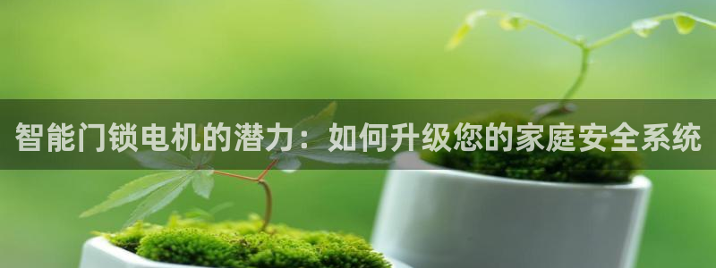 利记体育app官网：智能门锁电机的潜力：如何升级您的家庭安全