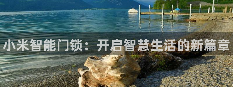 利记的官网：小米智能门锁：开启智慧生活的新篇章