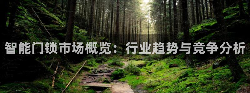 利记官网登录：智能门锁市场概览：行业趋势与竞争分析