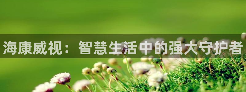 利记官网首页：海康威视：智慧生活中的强大守护者