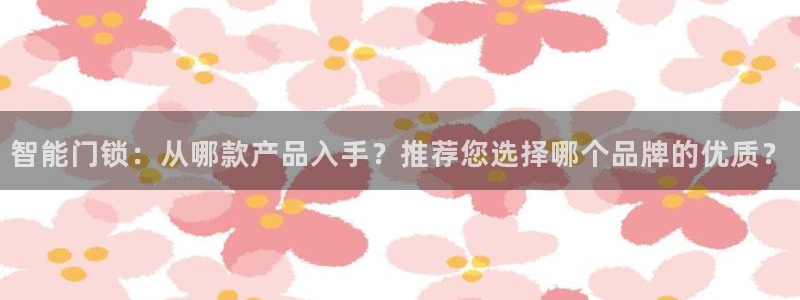 利记厨具官网客服电话：智能门锁：从哪款产品入手？推荐您选择哪