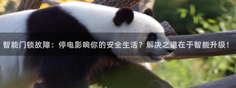 利记网址注册官网：智能门锁故障：停电影响你的安全生活？解决之
