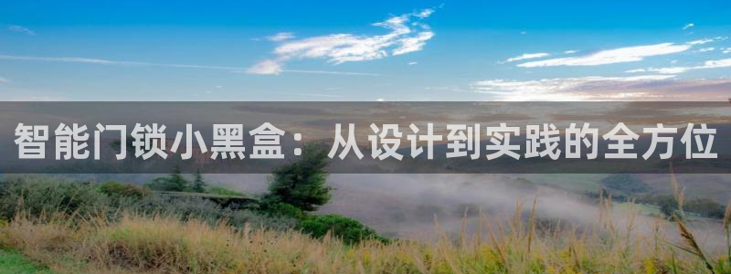 利记 官网：智能门锁小黑盒：从设计到实践的全方位