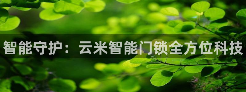 利记坊官网登录：智能守护：云米智能门锁全方位科技