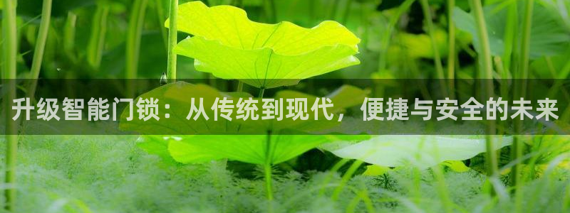 利记彩票官网