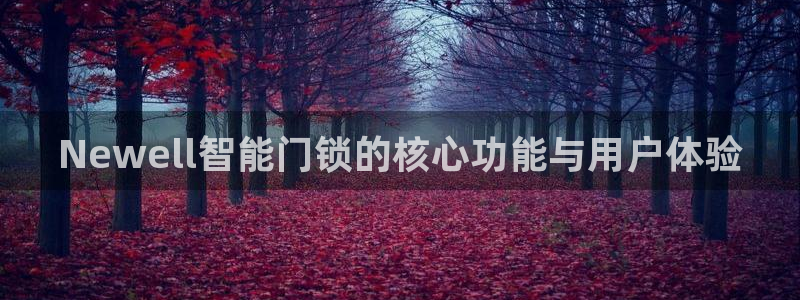 利记体育官网