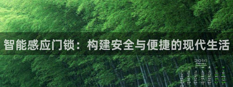 利记投注平台官网：智能感应门锁：构建安全与便捷的现代生活