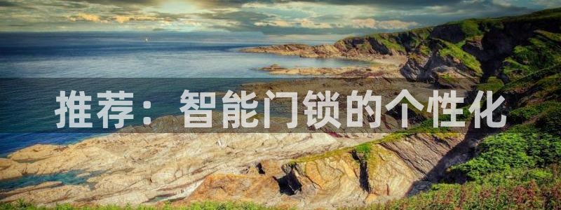 利记官网a：推荐：智能门锁的个性化