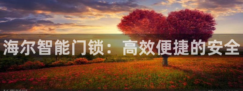 利记官网是什么：海尔智能门锁：高效便捷的安全