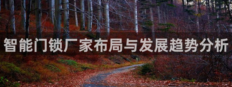 利记现场官网：智能门锁厂家布局与发展趋势分析