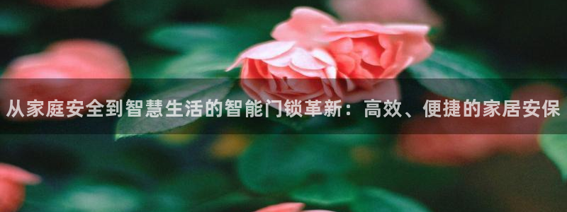 利记彩票官网网址官网hd71：从家庭安全到智慧生活的智能门锁