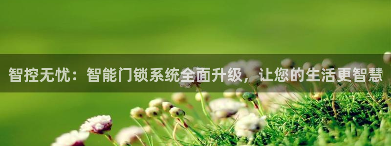 利记官网注册网：智控无忧：智能门锁系统全面升级，让您的生活更