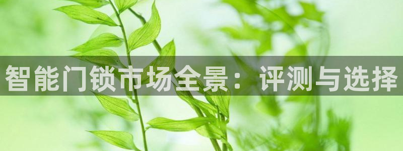 利记网官网：智能门锁市场全景：评测与选择