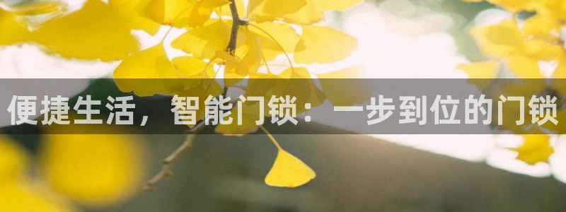 利记官网官方网站：便捷生活，智能门锁：一步到位的门锁