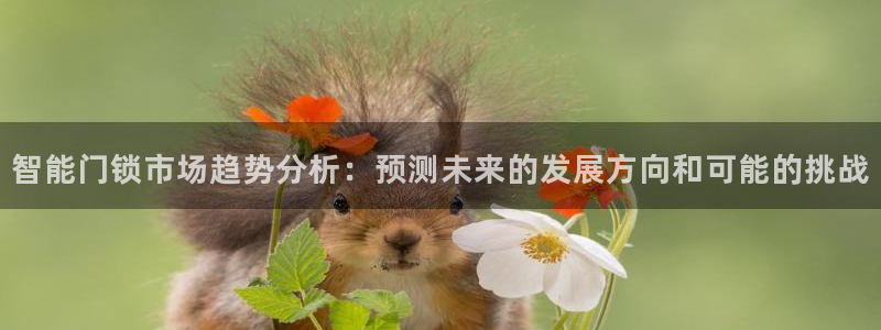 sbotop利记官网：智能门锁市场趋势分析：预测未来的发展方