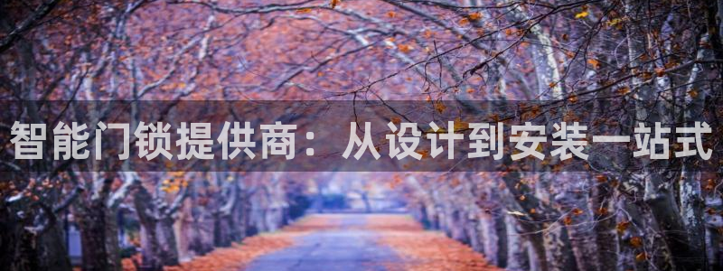 利记sbobet官网电脑版：智能门锁提供商：从设计到安装一站