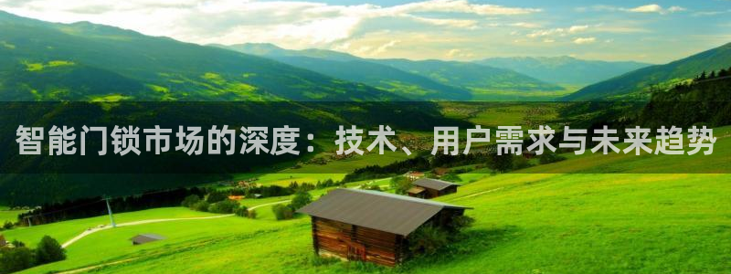 利记真正的官网是多少：智能门锁市场的深度：技术、用户需求与未