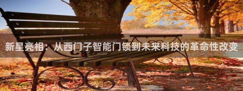 利记sbobet官网电脑版：新星亮相：从西门子智能门锁到未来
