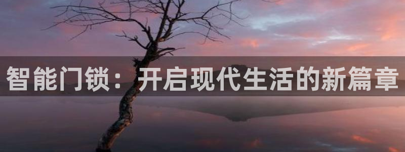 利记app官网：智能门锁：开启现代生活的新篇章