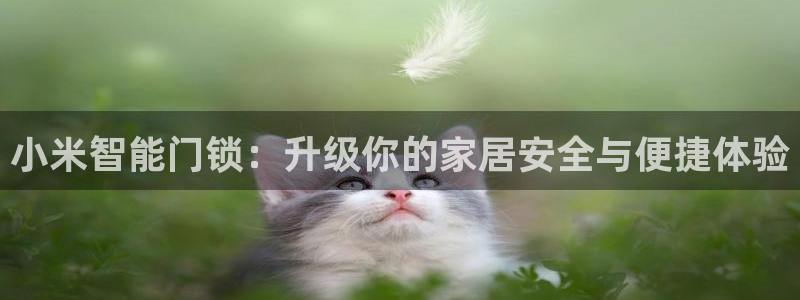 利记app官网真人游戏：小米智能门锁：升级你的家居安全与便捷