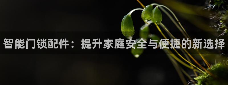 利记彩票官网网址官网hd71：智能门锁配件：提升家庭安全与便