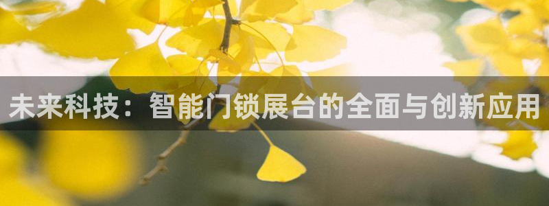 利记网官网网址：未来科技：智能门锁展台的全面与创新应用
