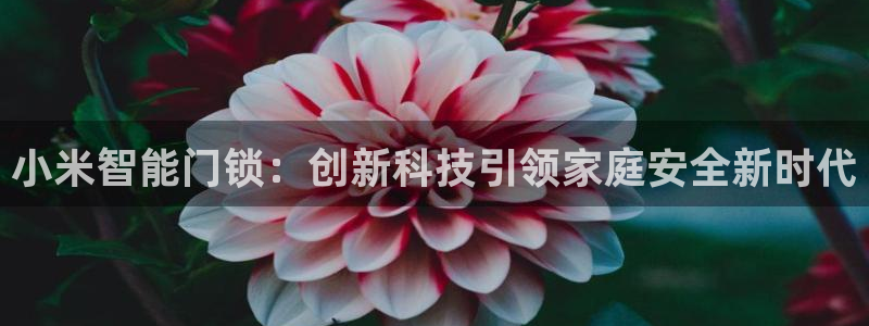 利记足球官网：小米智能门锁：创新科技引领家庭安全新时代