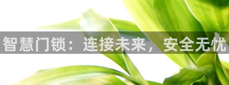 利记手机官网：智慧门锁：连接未来，安全无忧