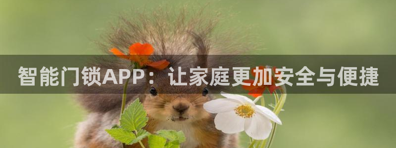 利记官网app：智能门锁APP：让家庭更加安全与便捷
