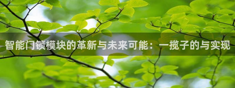 利记彩票网网址官网hd71：智能门锁模块的革新与未来可能：一